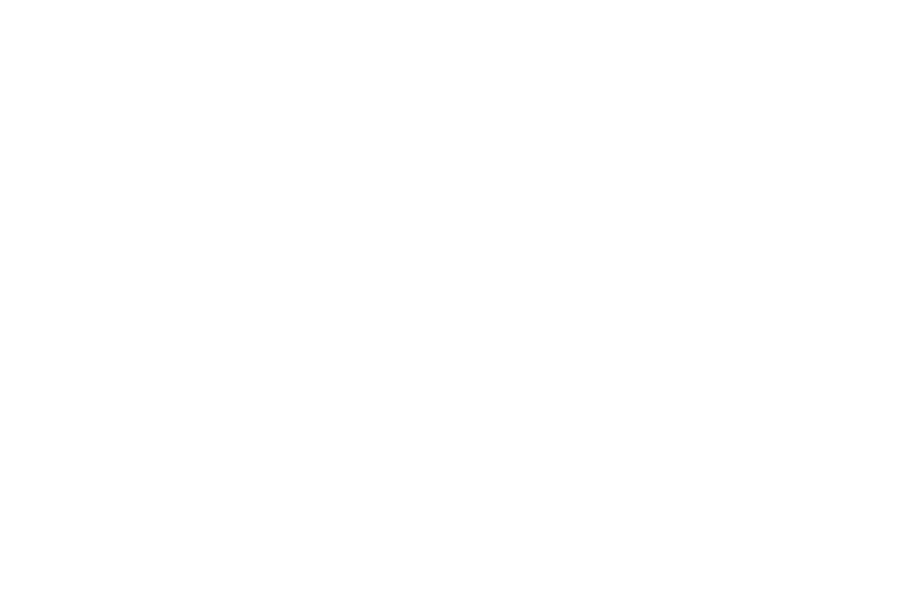 Mix Immobilien Gruppe